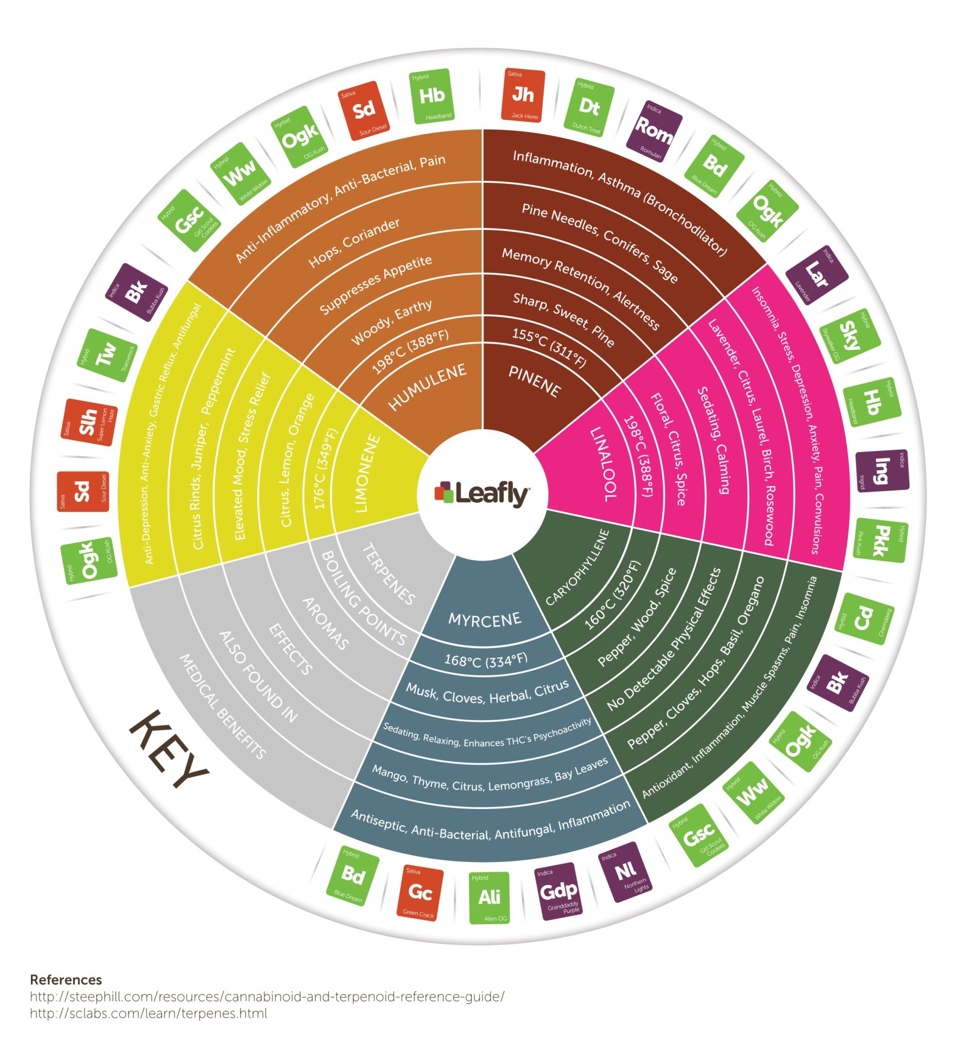 Leafly Terpene Wheel showing all of the known terpenes and their therapeutic benefits